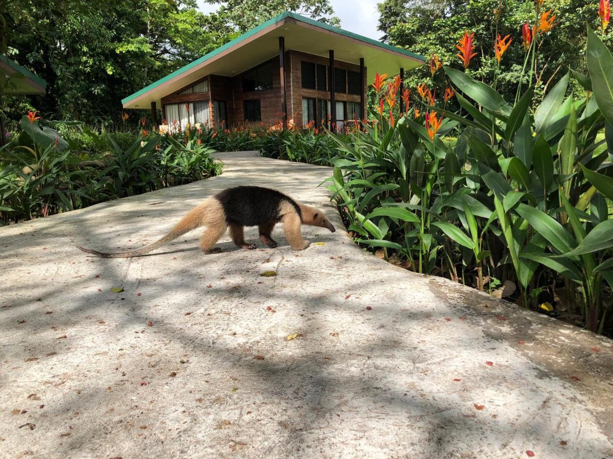 Sangregado Lodge La Fortuna Екстер'єр фото